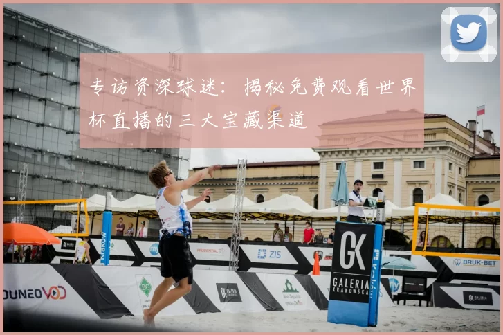 专访资深球迷：揭秘免费观看世界杯直播的三大宝藏渠道