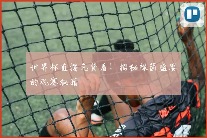 世界杯直播免费看!揭秘绿茵盛宴的观赛秘籍