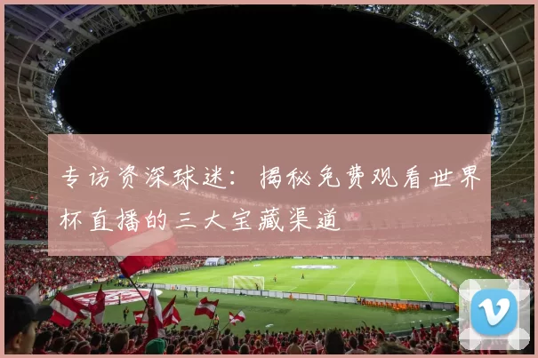 专访资深球迷:揭秘免费观看世界杯直播的三大宝藏渠道