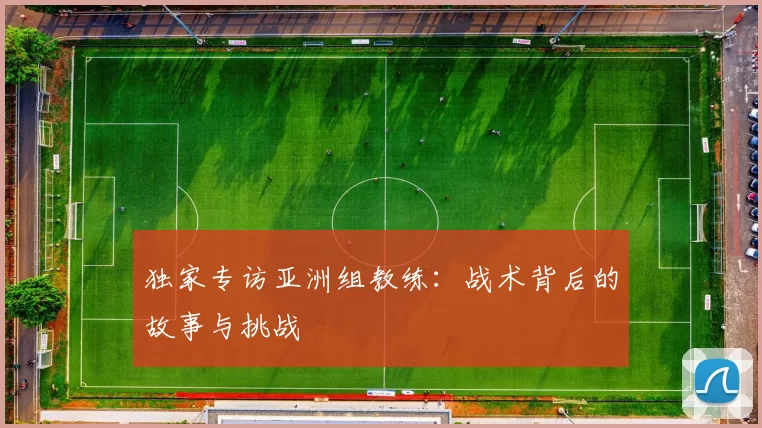 独家专访亚洲组教练:战术背后的故事与挑战