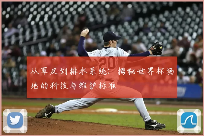 从草皮到排水系统:揭秘世界杯场地的科技与维护标准