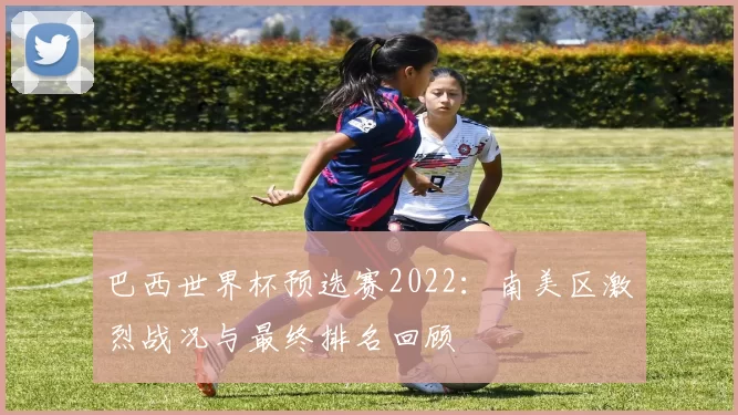 巴西世界杯预选赛2022:南美区激烈战况与最终排名回顾