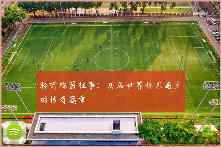 聆听绿茵往事:历届世界杯东道主的传奇篇章