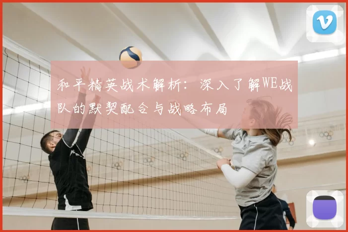 和平精英战术解析：深入了解WE战队的默契配合与战略布局