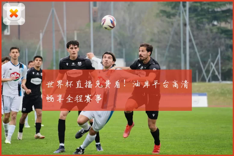 世界杯直播免费看!油库平台高清畅享全程赛事